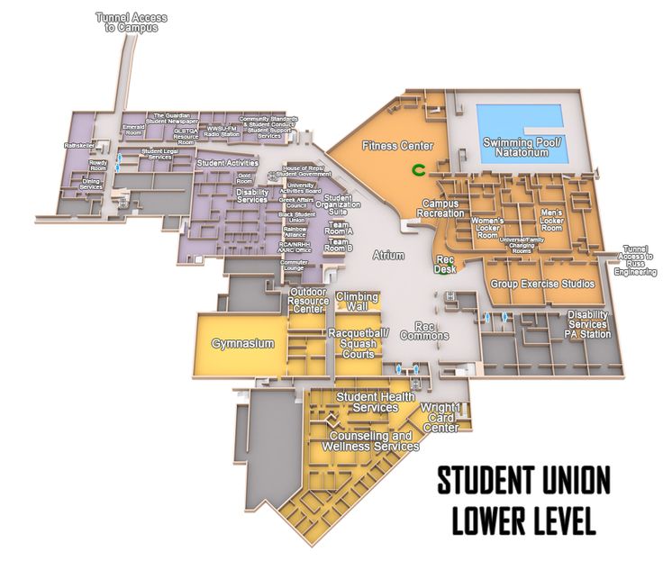 Wright State Campus Map Visit | Student Union | Wright State University | Union University, Students' Union, Student