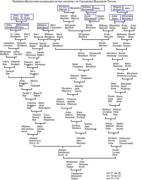 the family tree is shown in blue and white, as well as several other words