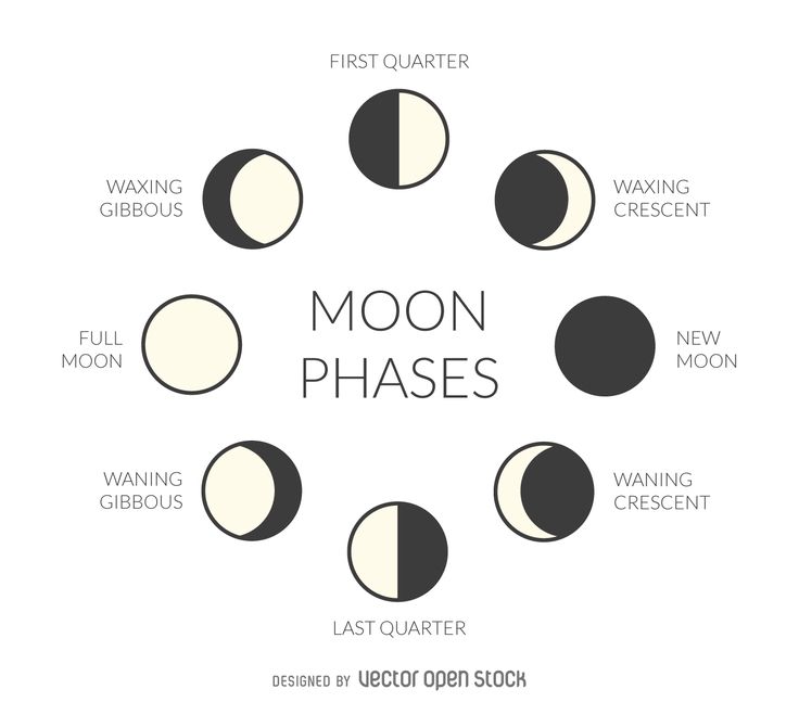 Drawing Of Moon Phases - Draw Space