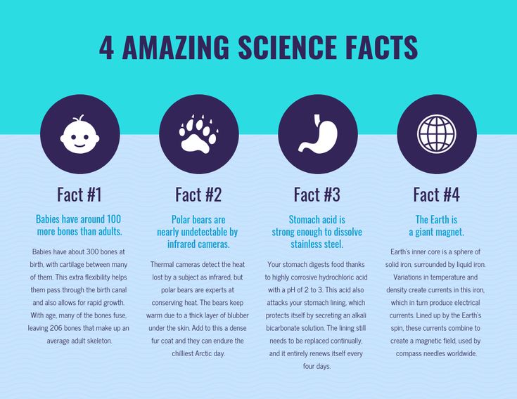 the four amazing science fact about animals and their habitats are shown in this info sheet