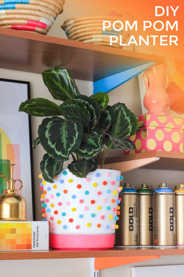 a potted plant sitting on top of a wooden shelf next to cans and plates