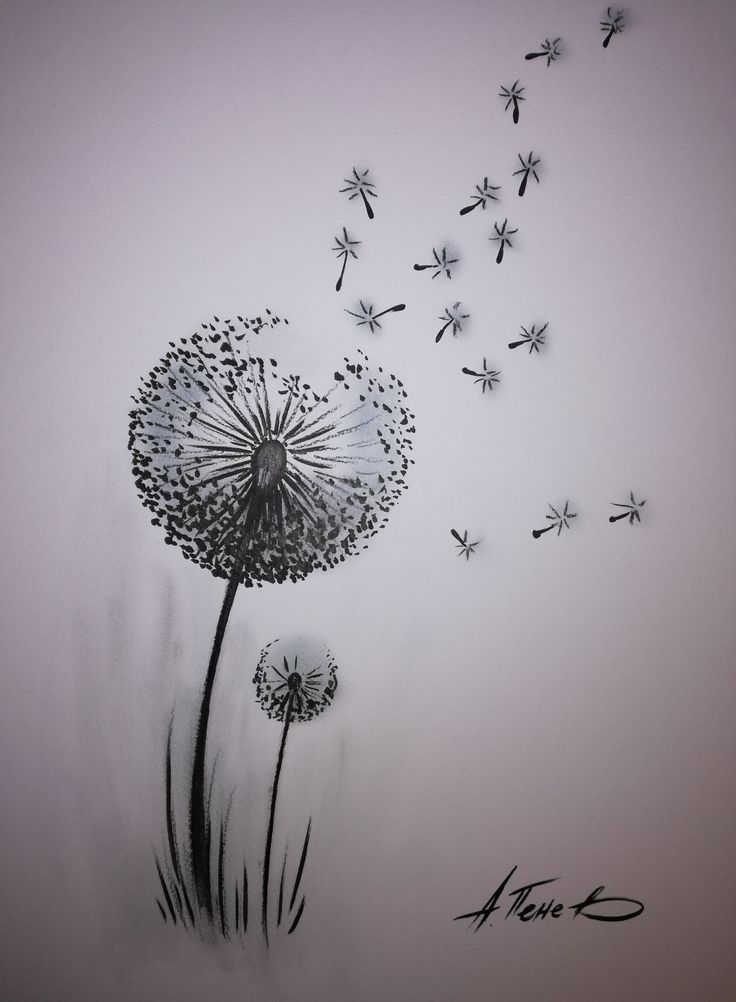 a drawing of a dandelion blowing in the wind