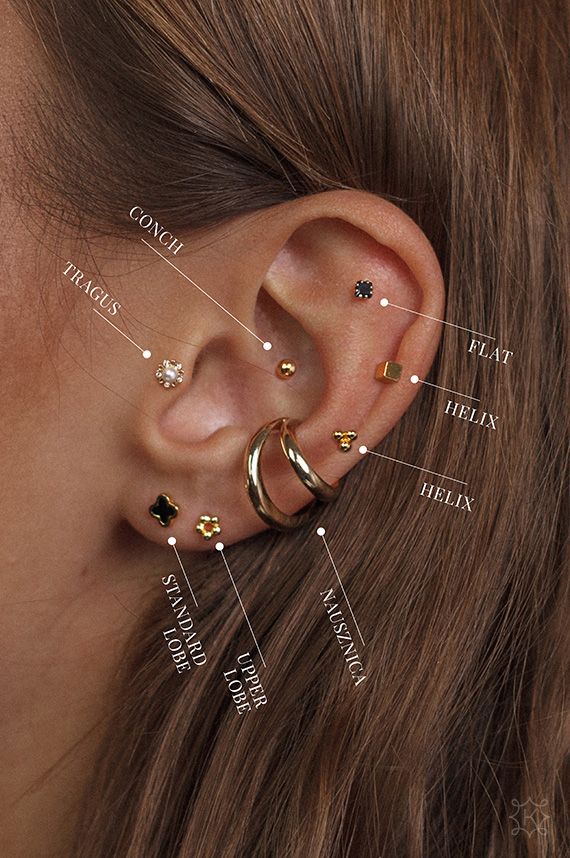 Piercing - Ania Kruk | Full ear piercings, Earings piercings, Piercing