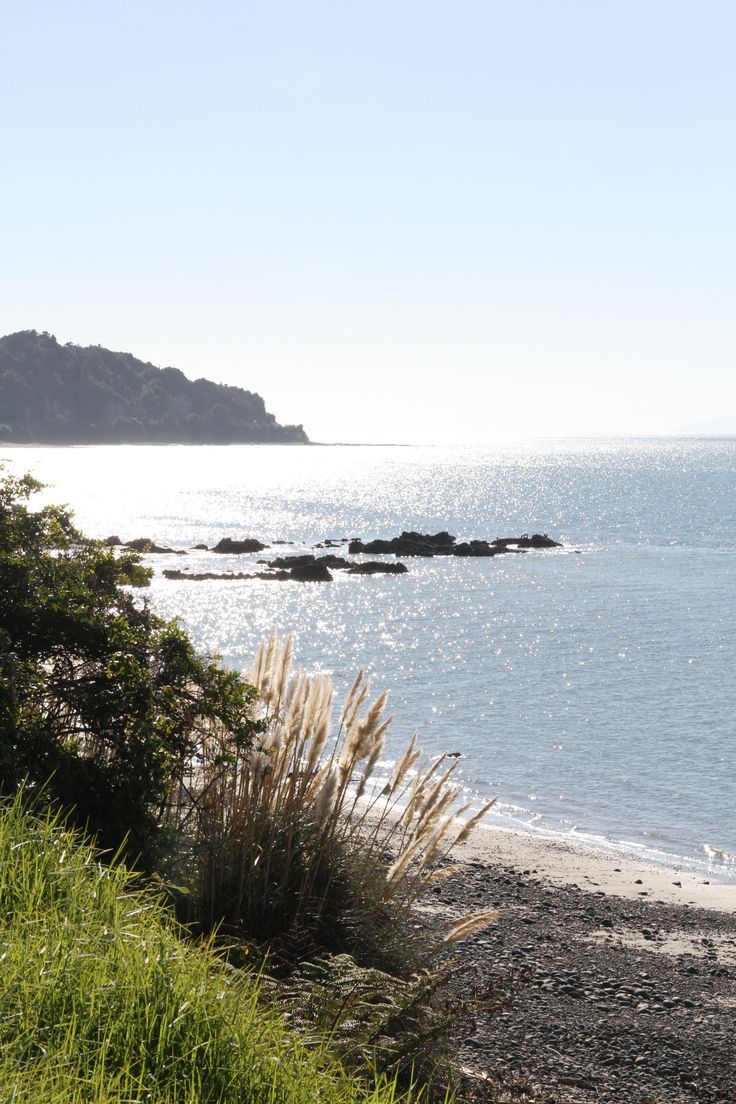 an ocean view with grass and rocks in the foreground