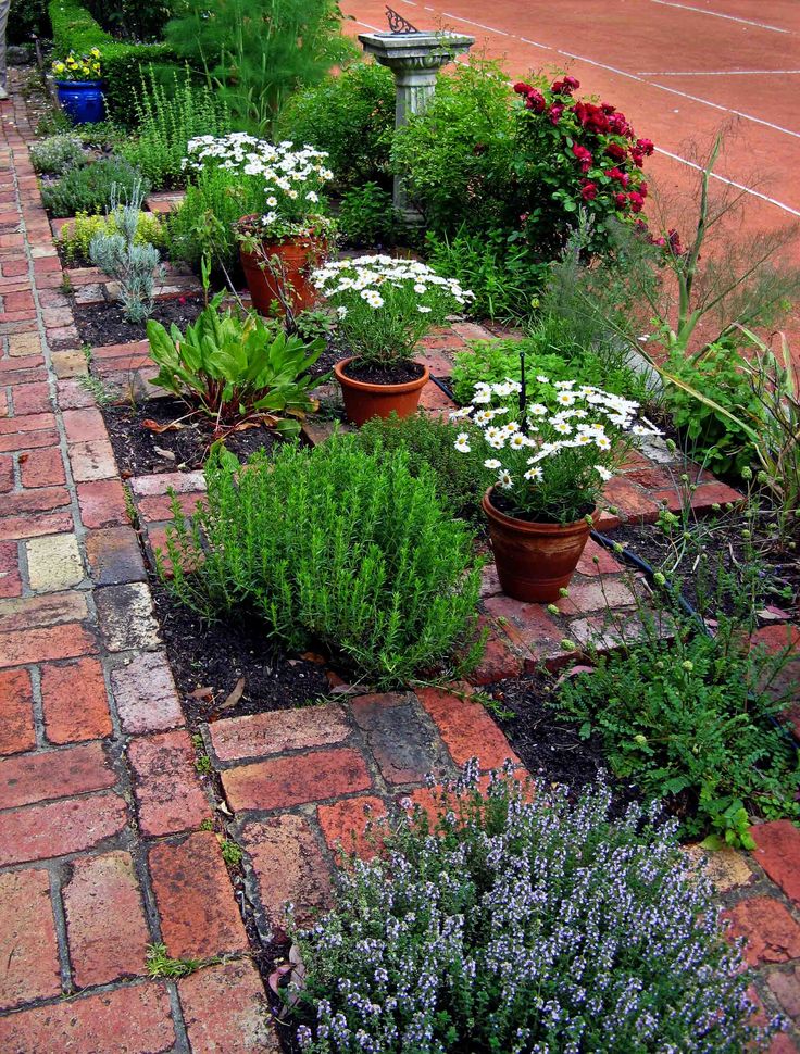 a brick walkway with potted plants and flowers on it