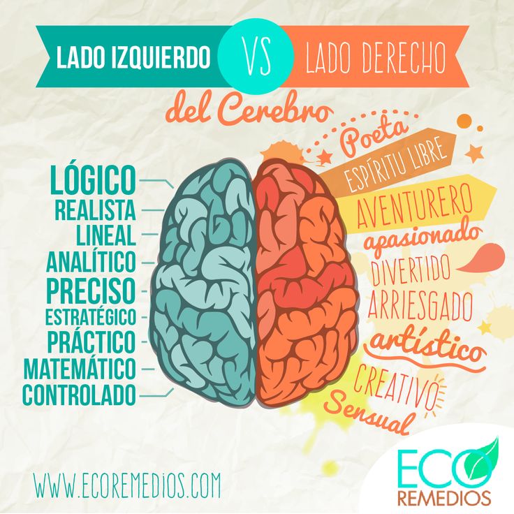 the left and right side of a brain are labeled in different languages