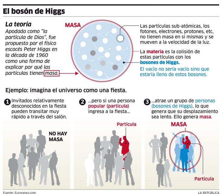 an info sheet describing the effects of mosquitoes on humans and their bodies in spanish