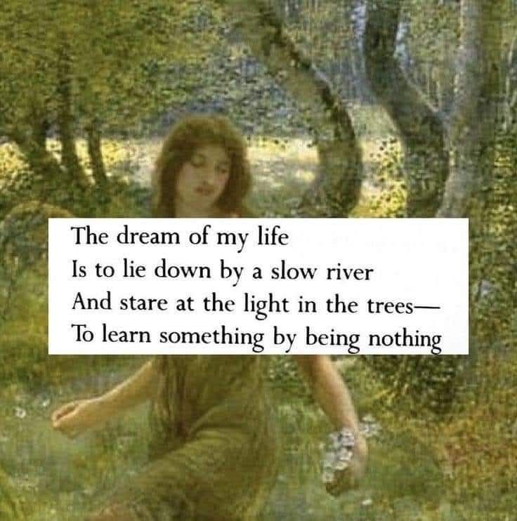 Pin by Kim Moore on Mary Oliver poetry | Unspoken words, Pretty words ...