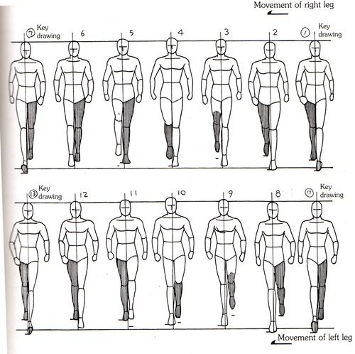 an image of men's body measurements for different types of legs and head shapes