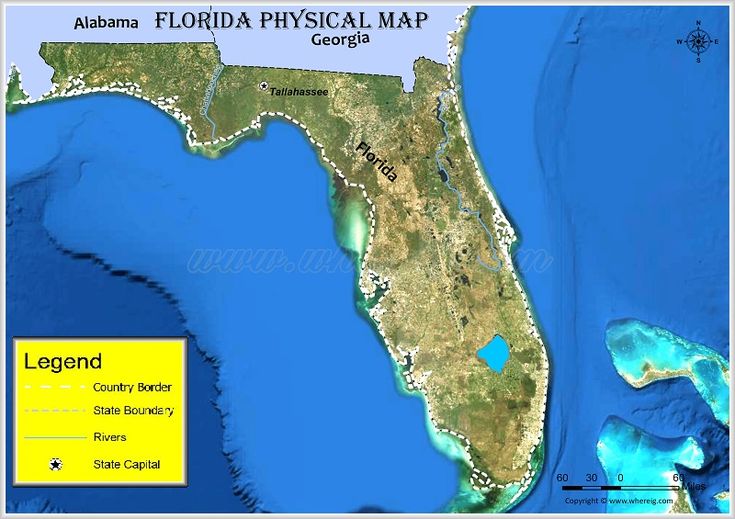 the florida physical map is shown in yellow