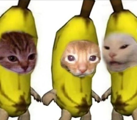 three cats in banana costumes with one cat peeking out from behind the bananas and another cat looking at the camera