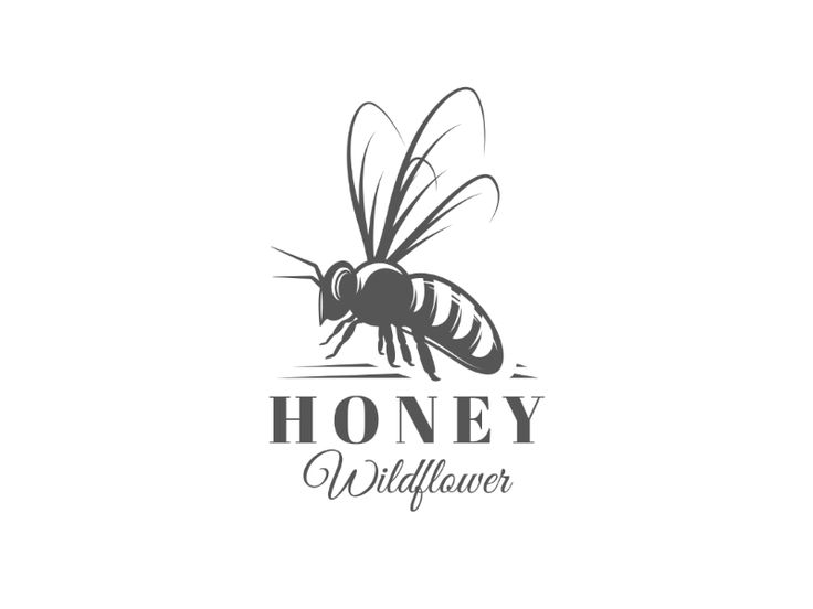 Queen bee logo in 2020 honey logo queen bees honey