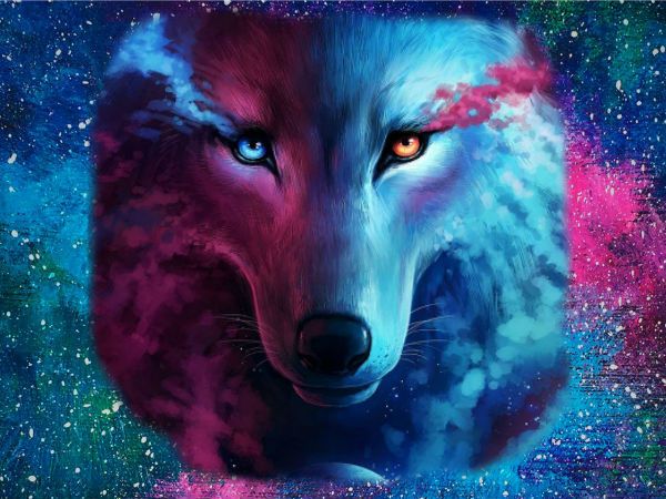 Pin by Callie Darden on Wolf | Wolf wallpaper, Fantasy wolf, Galaxy wolf