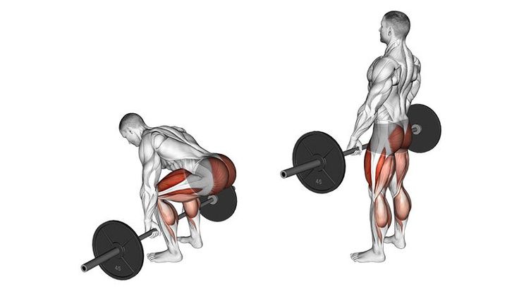 the muscles are highlighted in this image, with one man lifting a barbell and another man