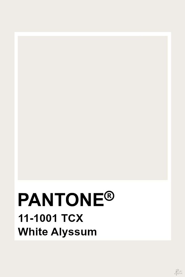 pantone's snow white paint is shown in the color, and it looks like it