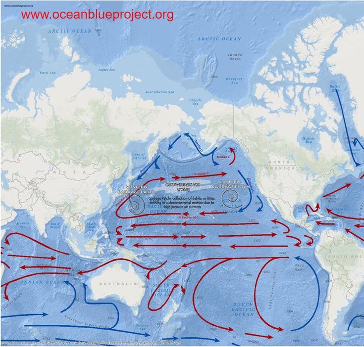 a world map with red and blue lines showing the locations of different currents in the ocean