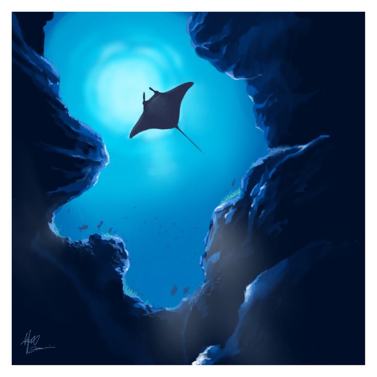 a manta ray swims through an underwater cave