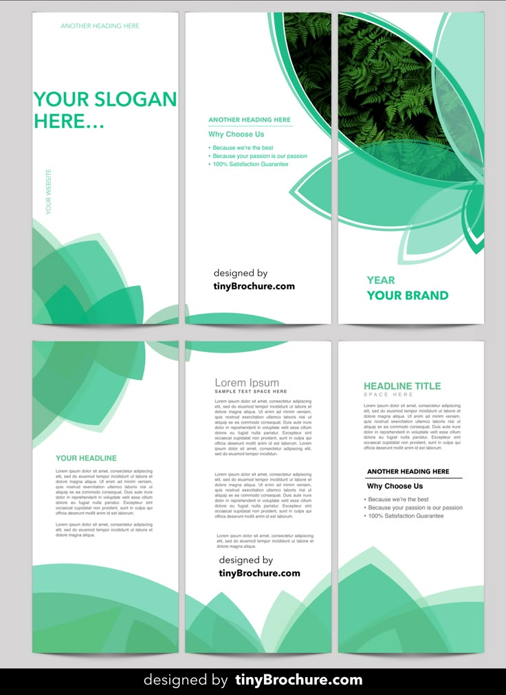 a set of brochures with green leaves on the front and back cover,