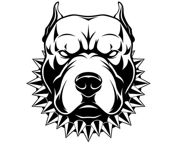 Pitbull dessin | Logo HD