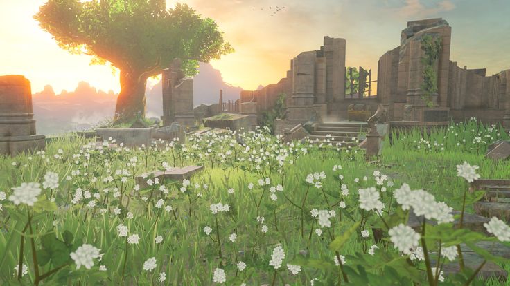 the sun is setting over an old cemetery with white flowers and trees in the foreground