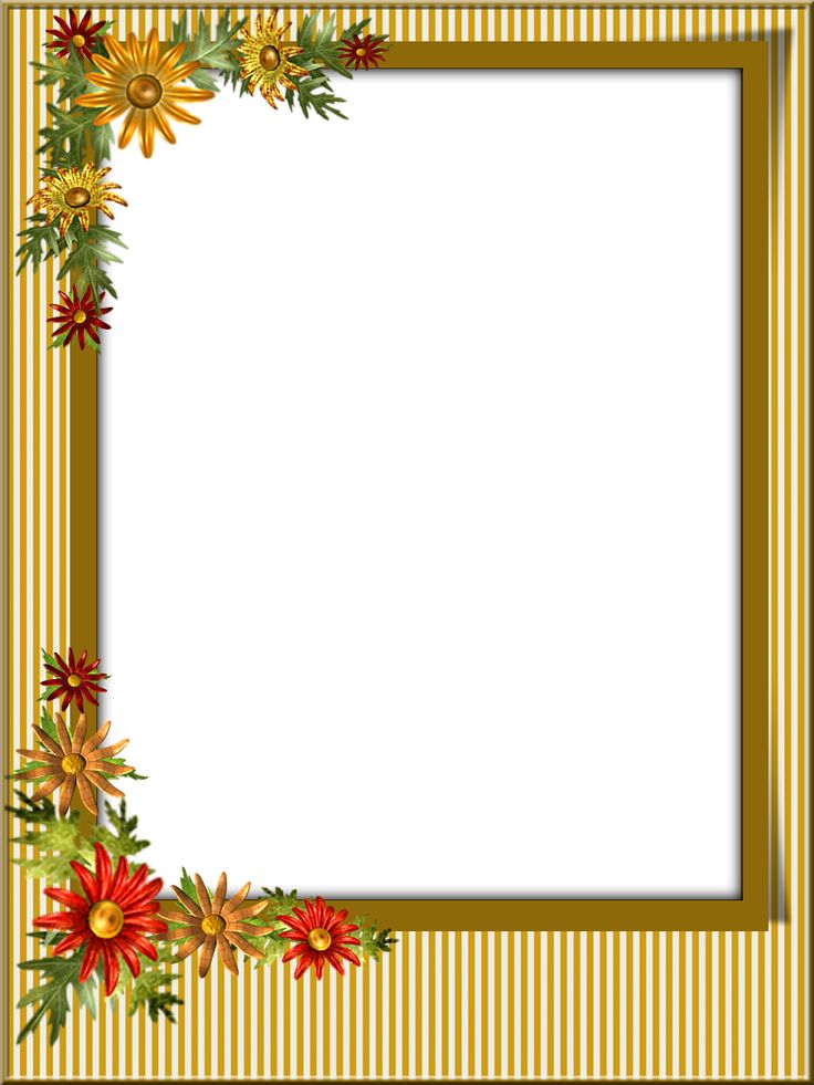 PNG frame | Flower border, Borders and frames, Birthday background