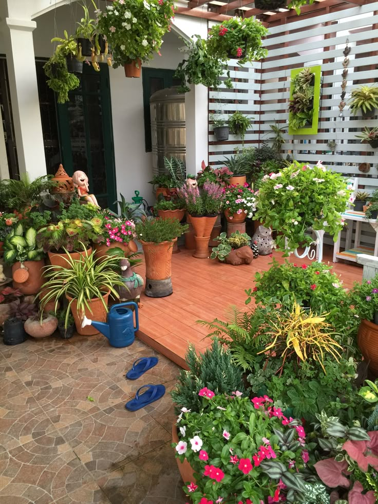 an outdoor patio with potted plants on the deck and flowers growing in pots around it