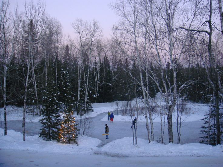 several people skiing in the snow near some trees