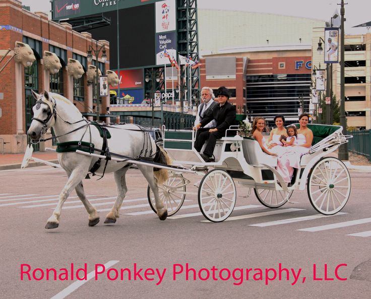 a horse pulling a carriage with people in it on the street and buildings behind it