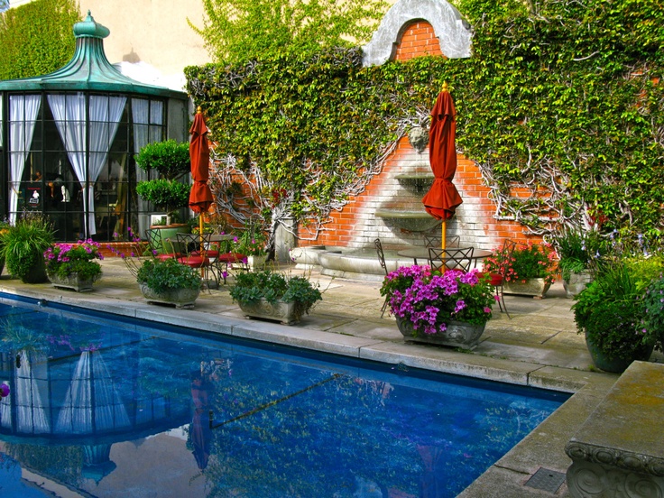 an outdoor pool surrounded by potted plants and umbrellas