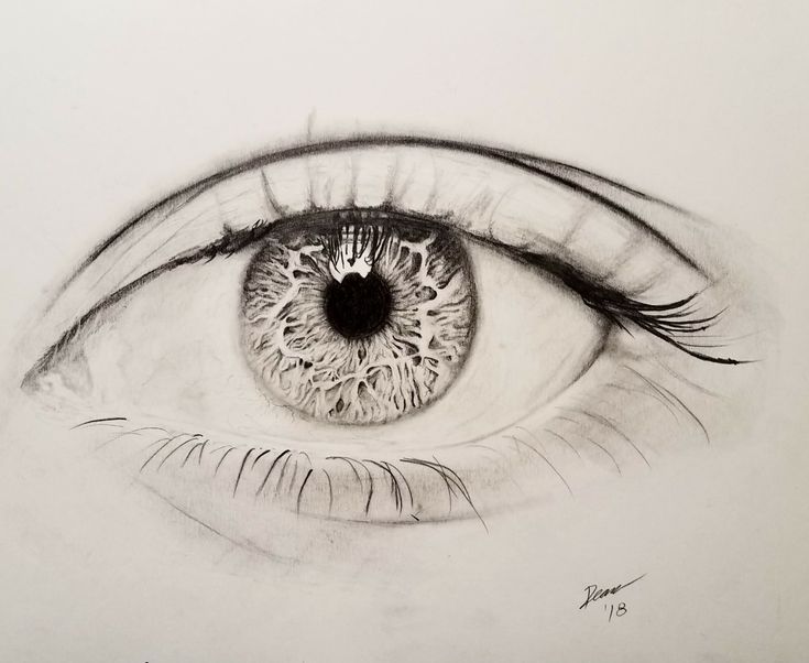 11x14 inch eye closeup pencil drawing that I made. This was my first ...