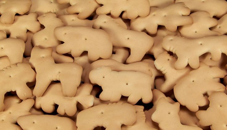 there are many small elephant cookies in the shape of elephants