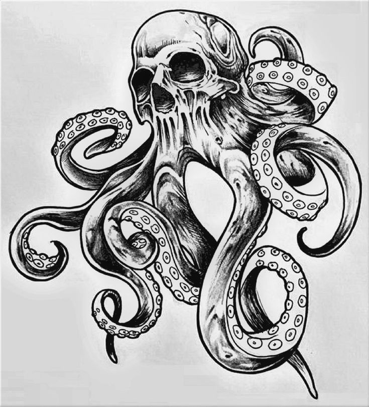 an octopus with a skull on it's back