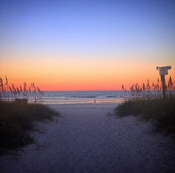 the sun is setting at the beach with tall grass