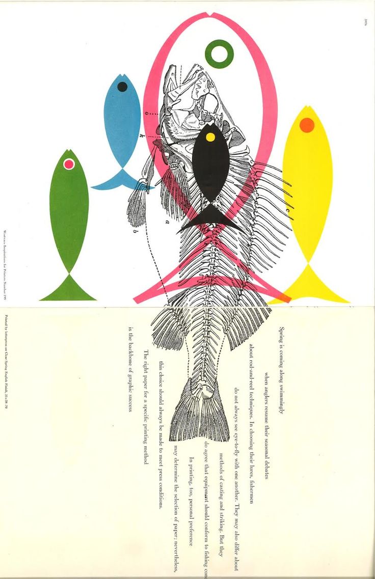 an illustrated book with fish in it