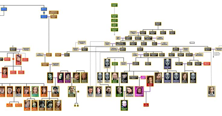 a family tree is shown with many different people's names and pictures on it