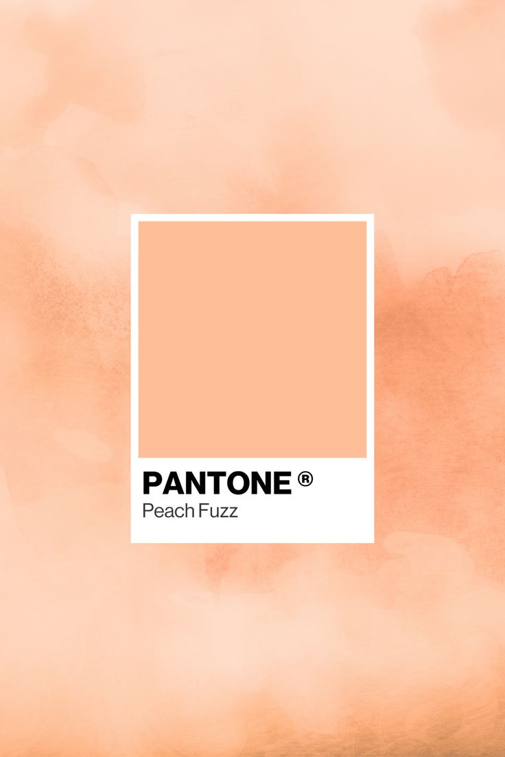 PANTONE 13-1023 Peach Fuzz | Peach fuzz, Peach color palettes, Peach colors