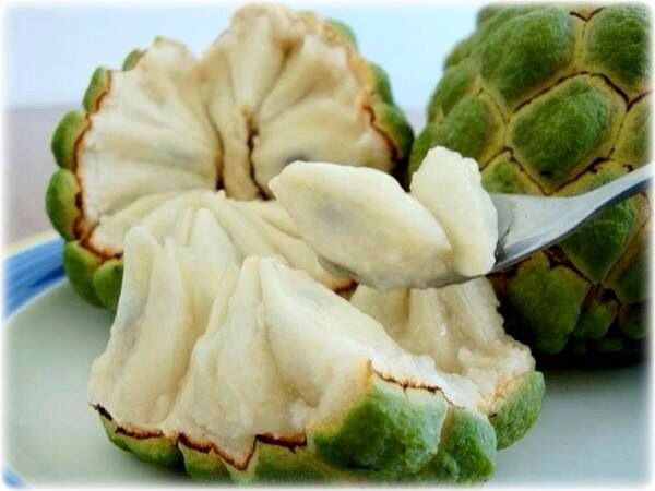 an artichoke is being cut open on a plate