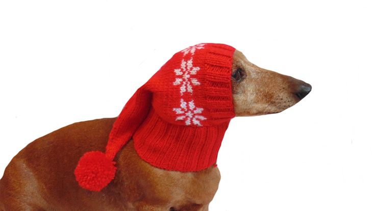 a small dog wearing a red hat and scarf with snowflakes on it's side