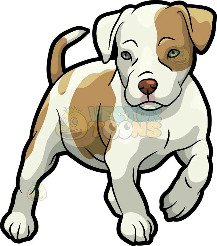 Pitbull Puppy Drawing