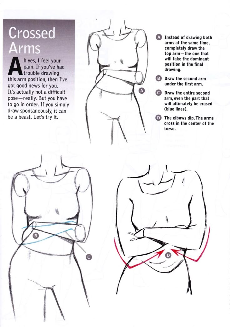 an instruction manual for how to draw the torso and waist, with instructions on how to use