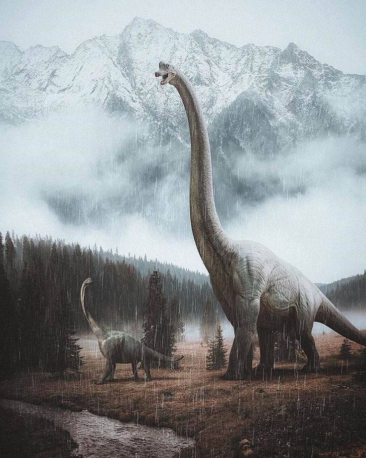 two dinosaurs are walking in the rain with mountains in the backgrounds