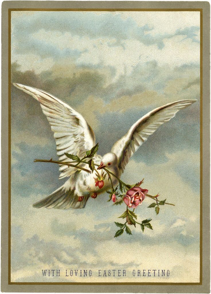 a white dove with flowers in its beak flying through the air on a cloudy day