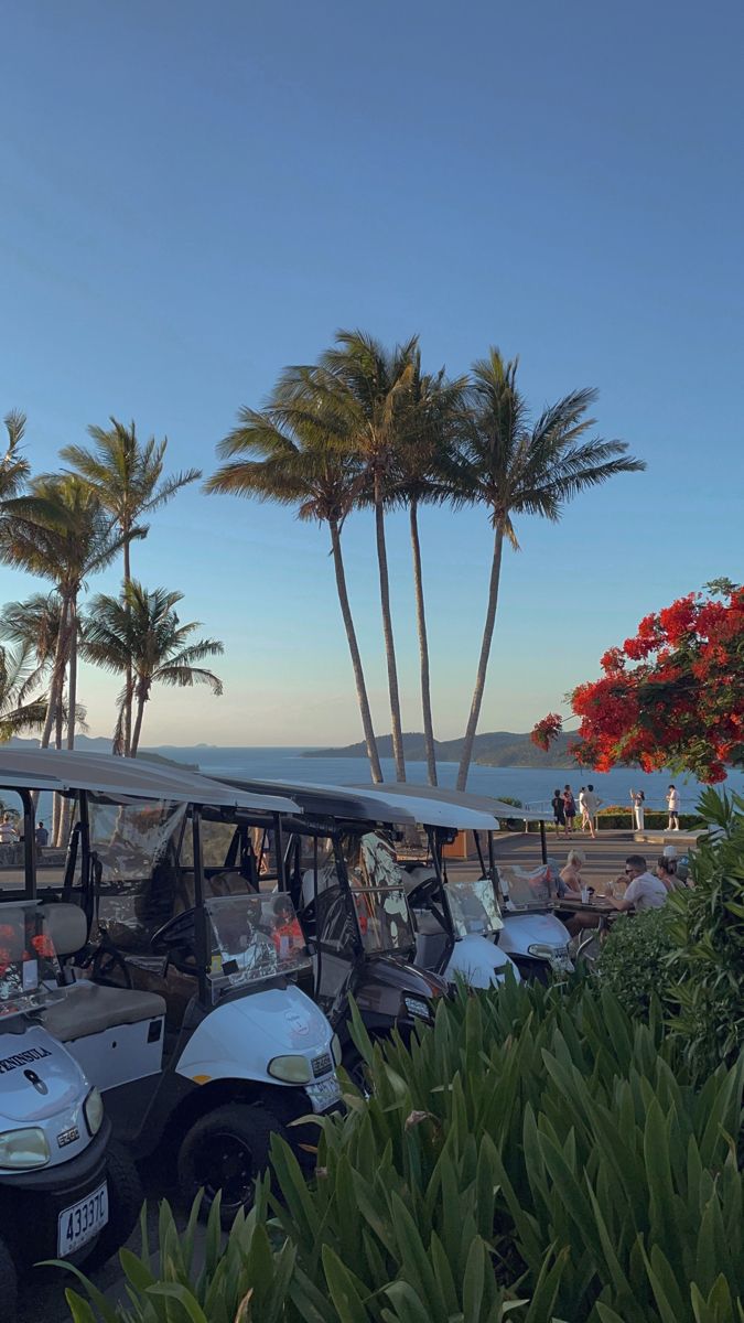 a group of golf carts parked next to the ocean with palm trees in the background