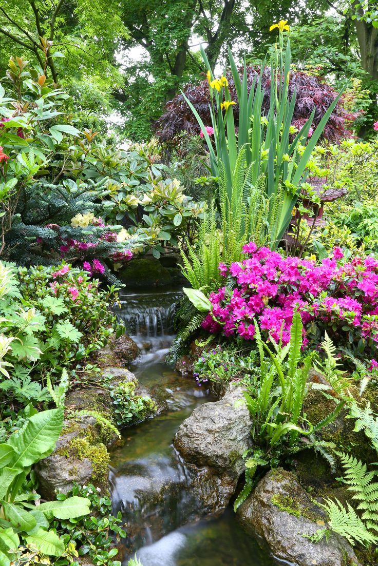 a garden filled with lots of plants and flowers next to a stream surrounded by rocks