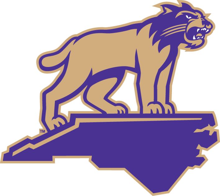 the logo of the university of north carolina is shown in purple and gold on a white background