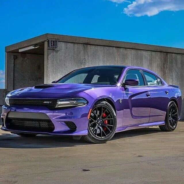 2016 Purple Dodge Charger