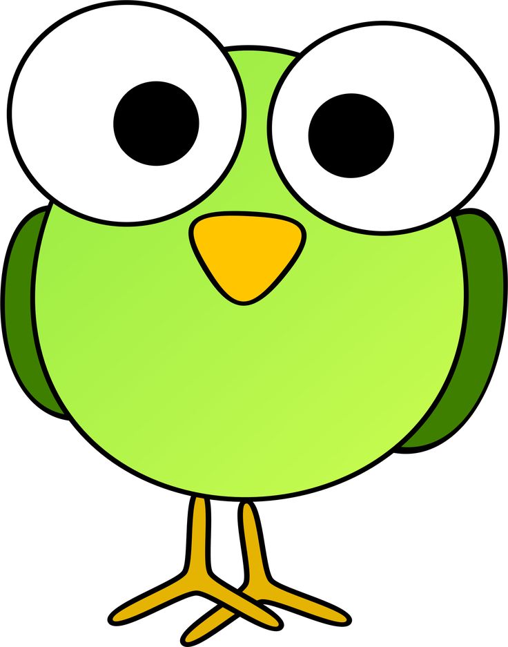 a cartoon green bird with big eyes