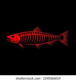 a red fish skeleton on a black background