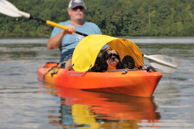 a man and his dog are kayaking on the water