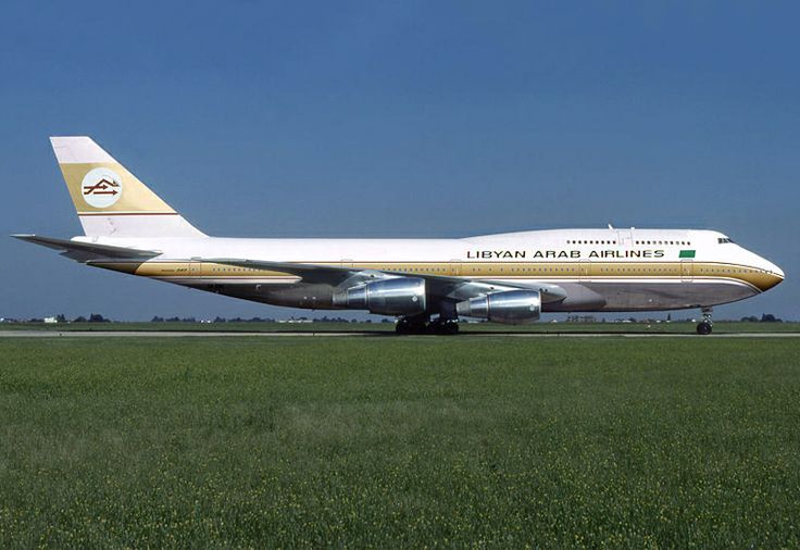 a large jetliner sitting on top of an airport tarmac next to a lush green field